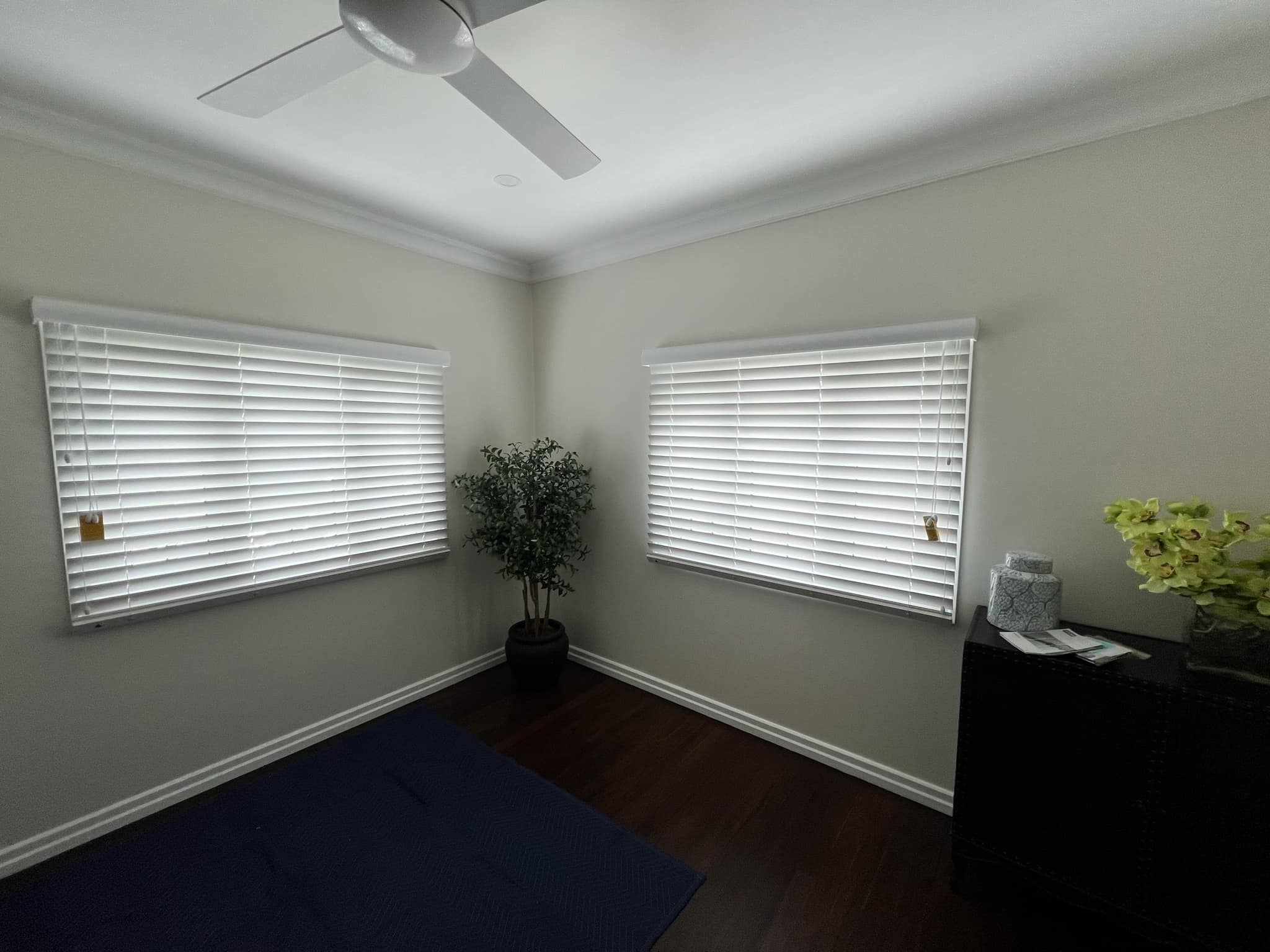 Venetian Blinds